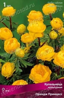 kupalnica_kultur_orange_princess_kaper