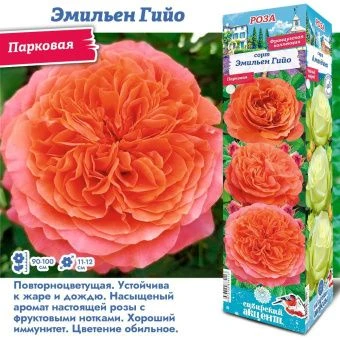 fbk96lby07rfj5yfrav613xfh8ufbpdz