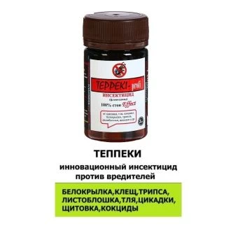 ЦБ-00004480_Теппеки 2гр (Ф) 1_100