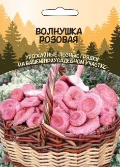 00042041_Гриб Волнушка Розовая (УД)