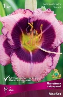 lileinik_gibrid_makbet_kaper