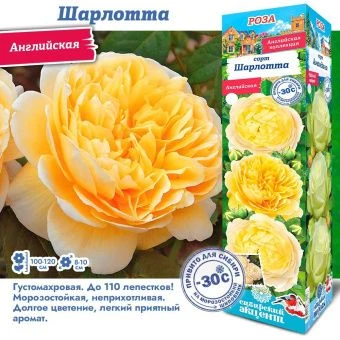 mazjww6r7w7y9x9v9q3x9xpg4wuuh087