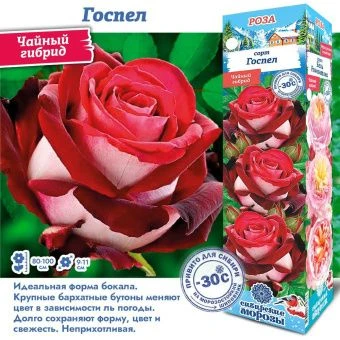 qf71olb1nazsbiio7rjixtnr5v23m2qc