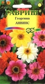 00007864_Георгина Анвинс смесь (Гавриш) 11000