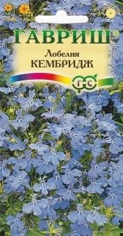 00007923_Лобелия Кембридж (Гавриш)