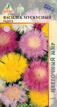 василек мускусный радуга