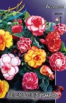 00036162_Бегония Биколор смесь 5шт (КолорЛайн)