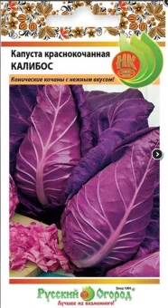 Снимок экрана 2026-01-20 152354