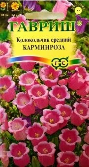 00007713_Колокольчик Карминроза средний (Гавриш)