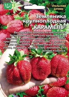 00043541_Земляника Карамель крупноплодная 10шт (УД)