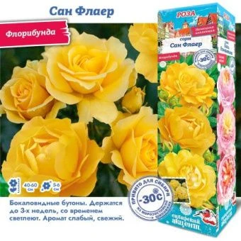 9axu708h2osqxvo3p1yk7vbvq6r43bsy