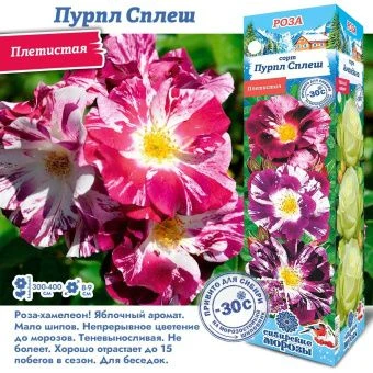 vejyo7wz6wfvwdsclas75hskgpfrbj7s