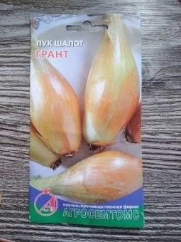 ЦБ-00010515_Лук шалот Грант 0,2г (Агросемтомс)