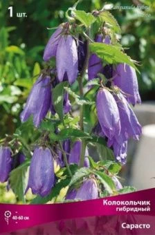 kolokolchik_gibrid_sarasto_kaper