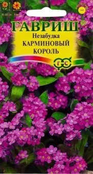00009527_Незабудка Карминовый король (Гавриш)