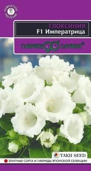 Глоксиния Императрица (Гавриш) 