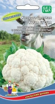 00023273 _Капуста цветная Коза Егоза (УД)   