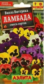 00002014_Виола Ламбада смесь (Аэлита)