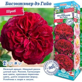 ohzks4t88fpodgjencwru4641y42sejo