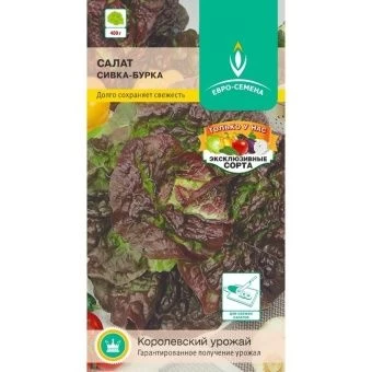 _СИВКА-БУРКА~150-800x800