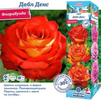 0z5g2kgu1k2mcrrrc3f9hoo6zwdki0e1