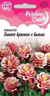 00029299_Аквилегия Башня красная с белым серия Роз
