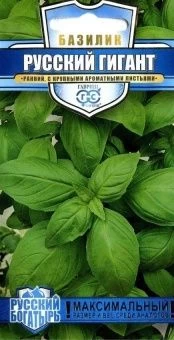 00013618_Базилик Русский Гигант зеленый (Гавриш) 1