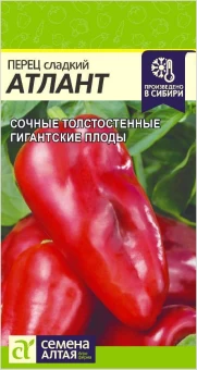 Снимок