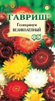 00007862_Гелихризум великолепная смесь (Гавриш) 16