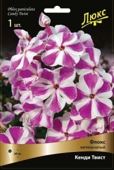 floks_metelch_kendy_twist_kaper