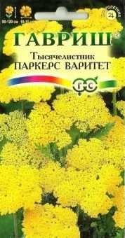 00008198_Тысячелистник Паркерс Варитет желтый (Гав