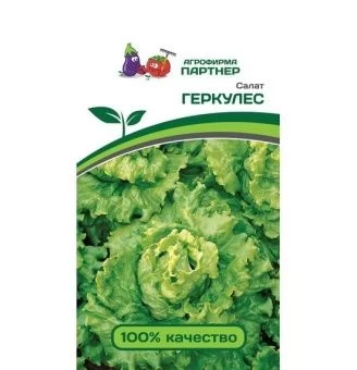 061929716cac4ecb326d4ed9134031b4