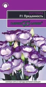 00034019_Эустома Преданность низкорослая 5шт (Гавр