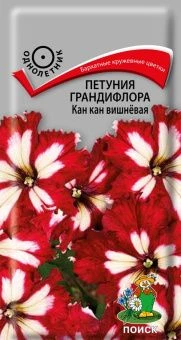 00033938_Петуния Кан Кан вишневая грандифлора (ПОИ