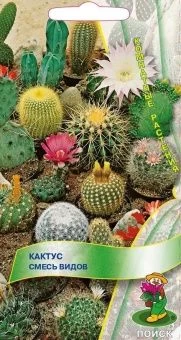 00026212_Кактус Смесь видов 0,1г (ПОИСК)