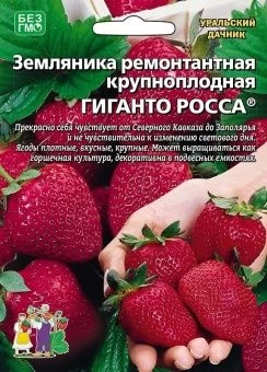 00043540_Земляника Гиганто Росса ремонтантная 10шт (УД)