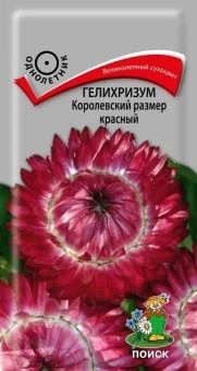 00041066_Гелихризум Королевский размер красный 0,1