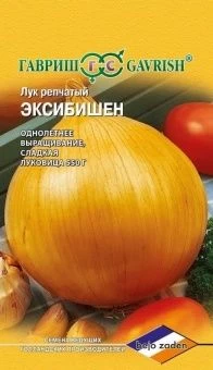 00007461_Лук Эксибишен Голландия (Гавриш) 1700