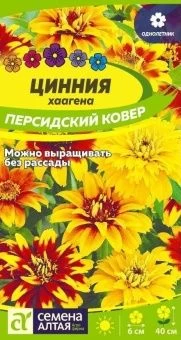 00043433_Цинния Персидский Ковер хаагена (Сем Алт)