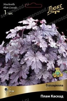 5omrt1hoa6jz2op9ql7rocdz40whyyz2