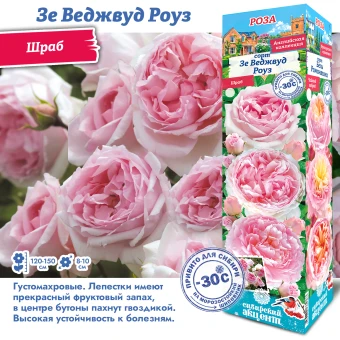 30ce3pu82idscojt5yv9x4ycwbic1efm