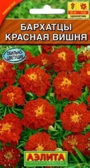 00012319_Бархатцы Красная Вишня (Аэлита)