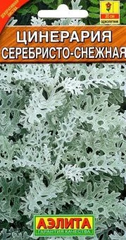 00013497_Цинерария Серебристо - снежная (Аэлита)