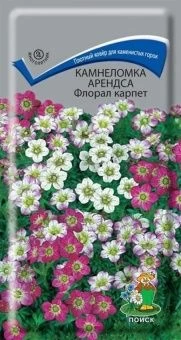 00029406_Камнеломка Арендса Флорал Карпет 0,01г (П