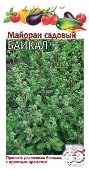 00011347_Майоран Байкал (Гавриш) 1_1000