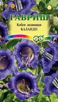 00013436_Кобея Каландо (Гавриш)