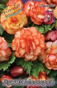 00036166_Бегония Вумми Маскарад 3шт (КолорЛайн)