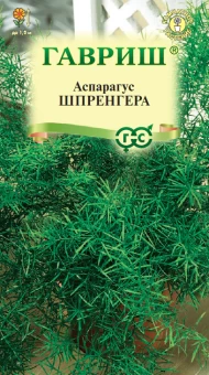 00007742_Аспарагус Шпренгера (Гавриш)