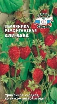 00013374_Земляника Али-Баба (СеДек)