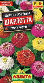 Снимок экрана 2025-10-07 130728